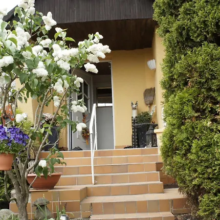Beautiful Mansion In With Terrace And Garden