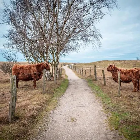 Wunderschoenes In Gorow, In Ostseenaehe *
